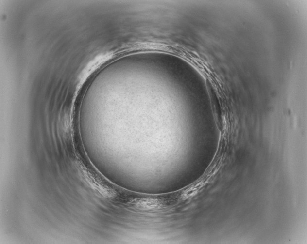 X0000086970104200704231525