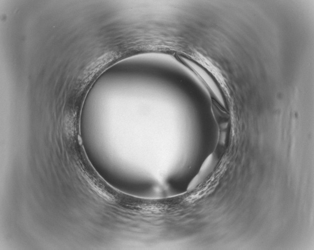 X0000086970105200704231525