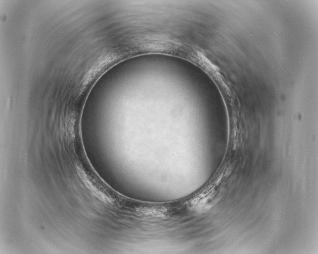 X0000086970106200704231525