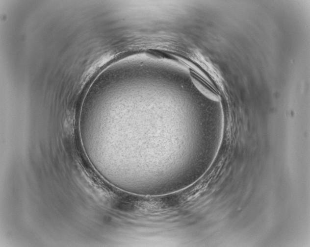 X0000086970107200704231525