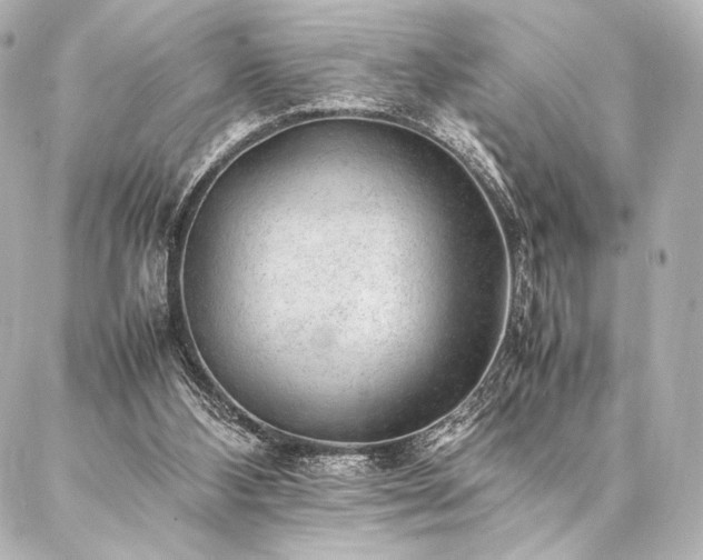 X0000086970108200704231525