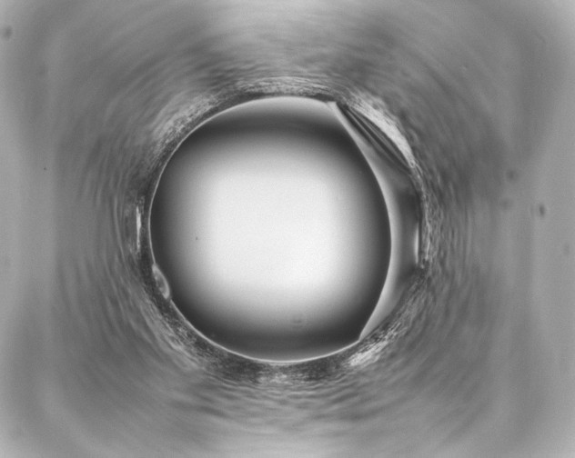 X0000086970109200704231525