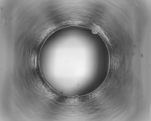 X0000086970110200704231525