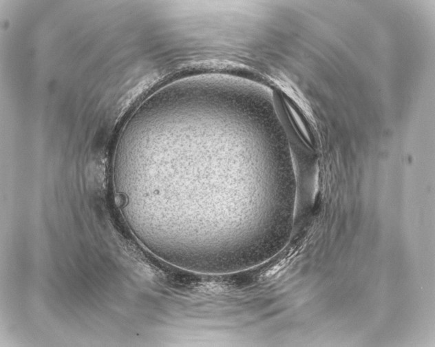 X0000086970111200704231525