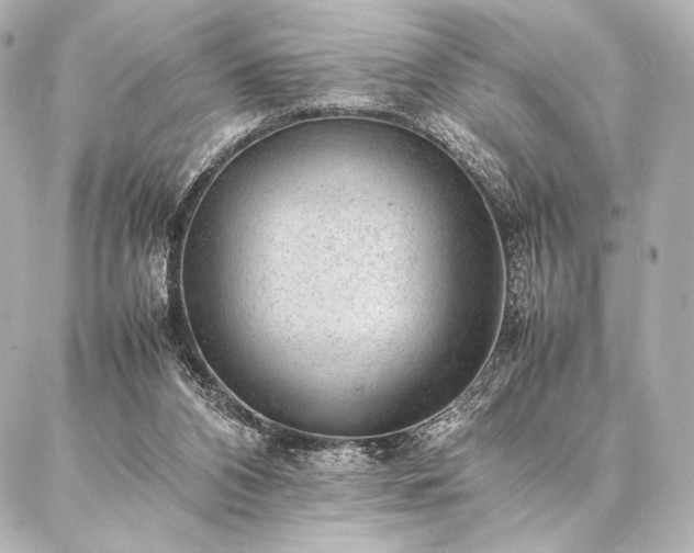 X0000086970112200704231525