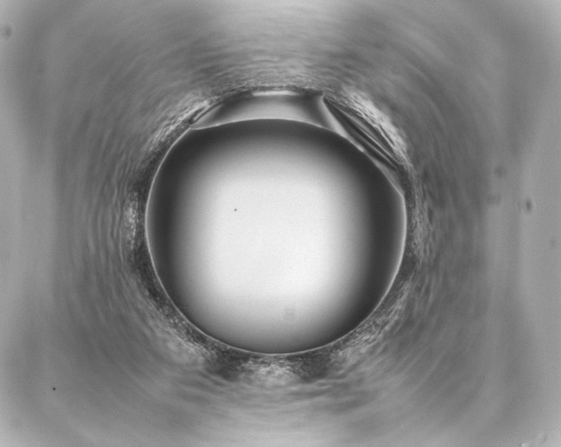 X0000086970113200704231525