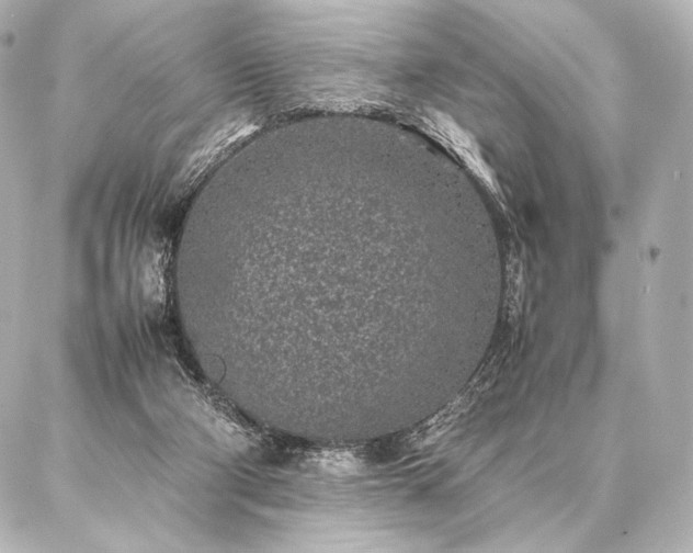 X0000086970114200704231525