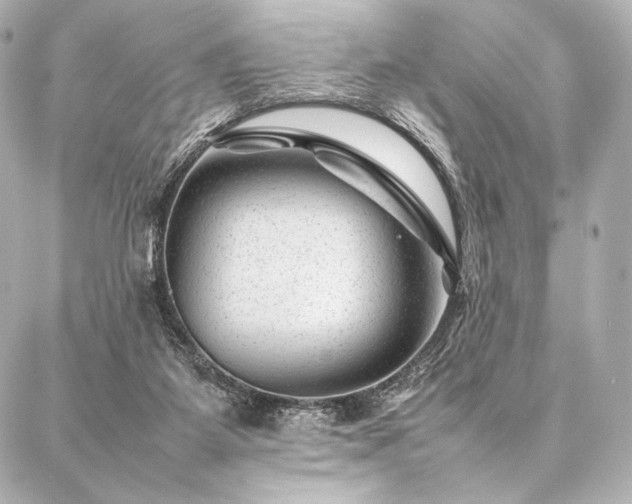 X0000086970115200704231525