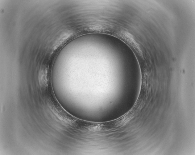 X0000086970116200704231525