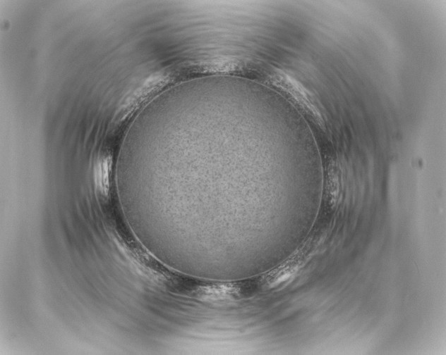 X0000086970118200704231525