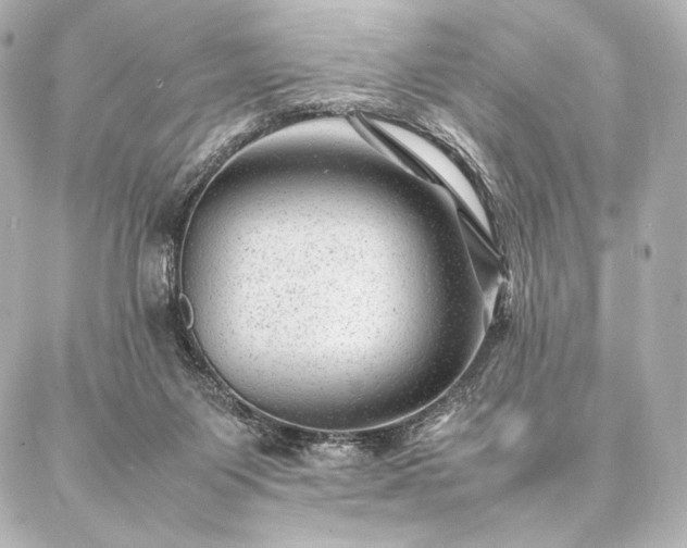 X0000086970119200704231525