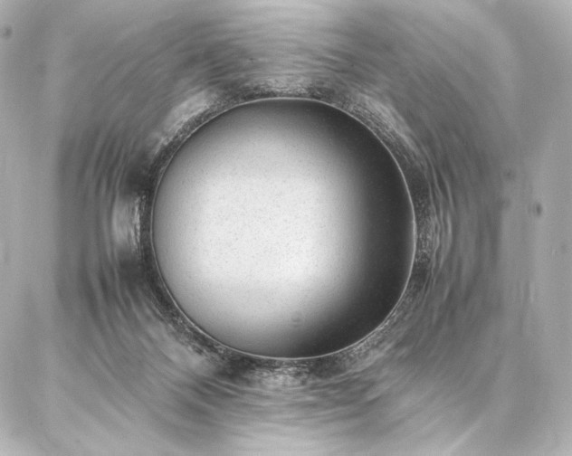 X0000086970120200704231525