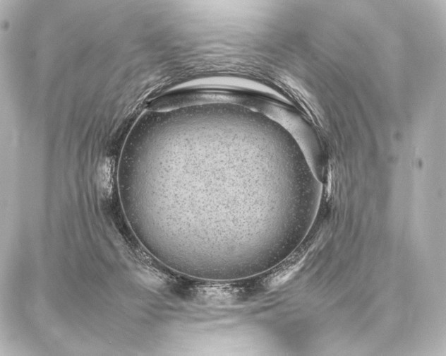 X0000086970121200704231525