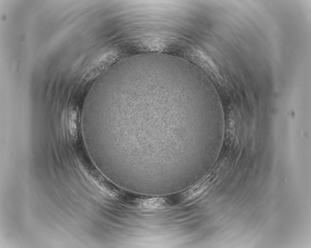 X0000086970122200704231525