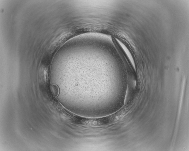 X0000086970123200704231525