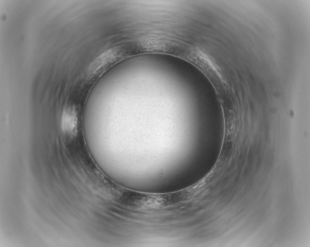 X0000086970124200704231525