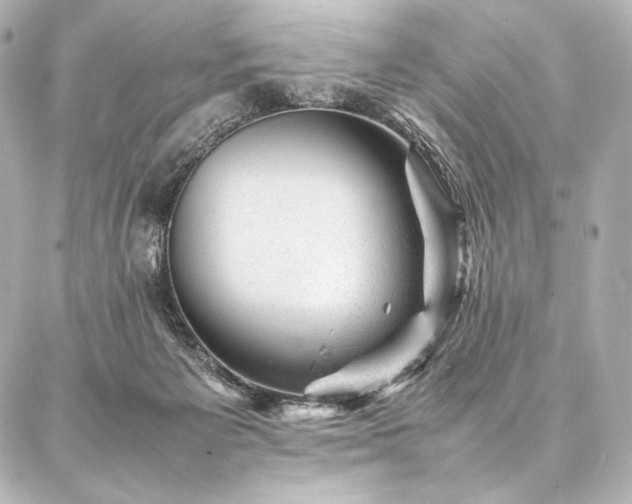 X0000086970125200704231525