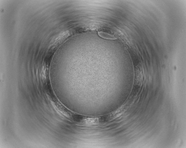 X0000086970126200704231525