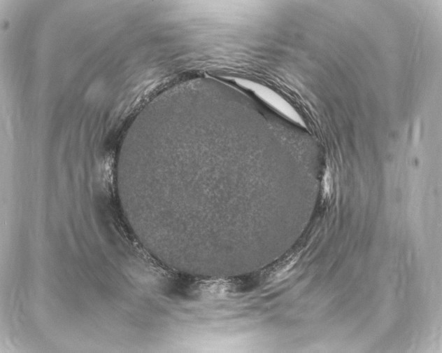 X0000086970127200704231525