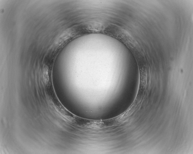 X0000086970128200704231525