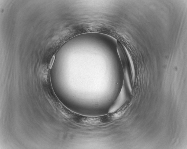 X0000086970129200704231525