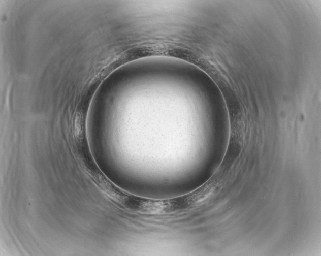 X0000086970131200704231525