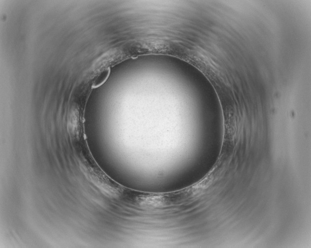 X0000086970132200704231525