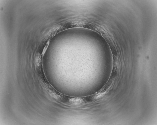 X0000086970133200704231525