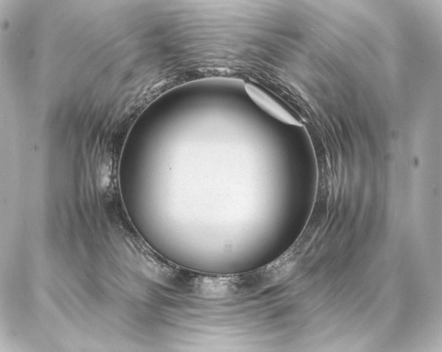 X0000086970134200704231525