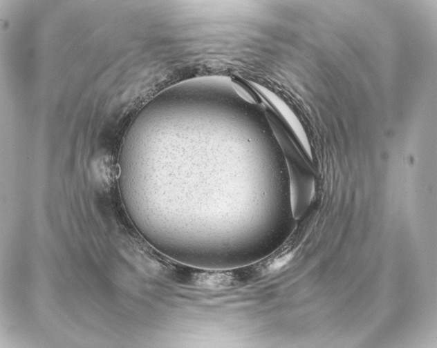 X0000086970135200704231525