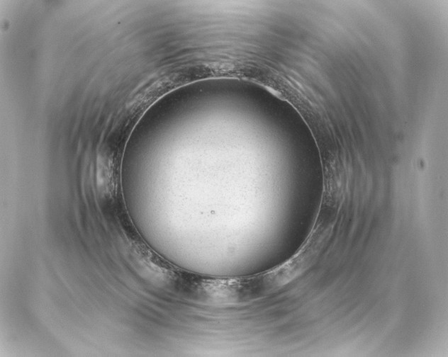 X0000086970136200704231525