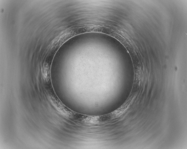 X0000086970138200704231525