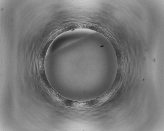 X0000086970139200704231525