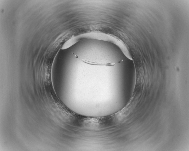 X0000086970140200704231525