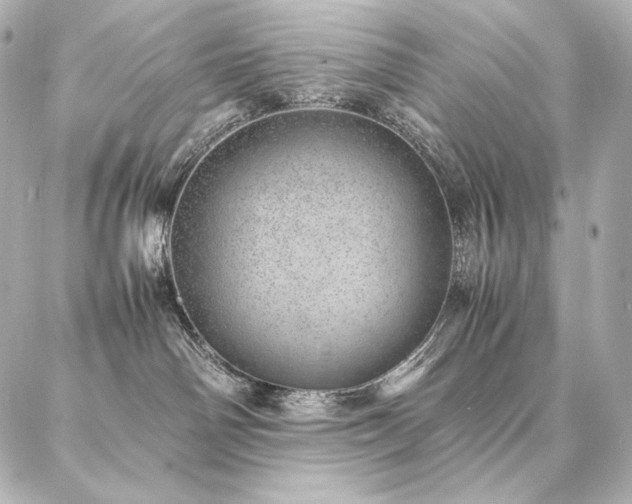 X0000086970142200704231525