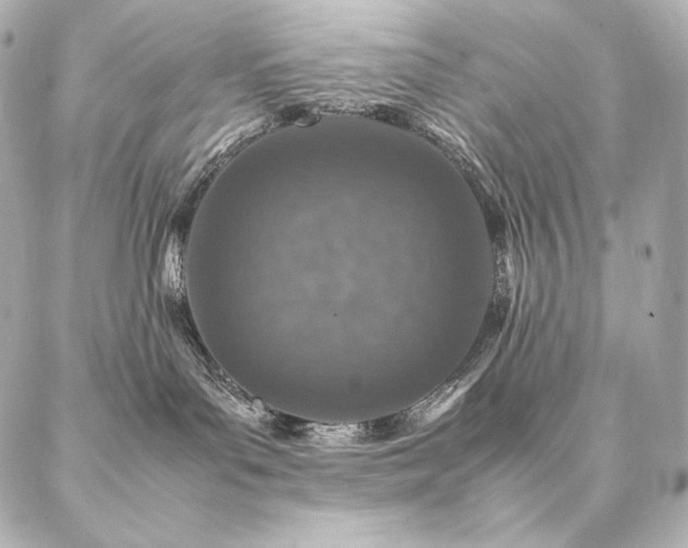 X0000086970143200704231525