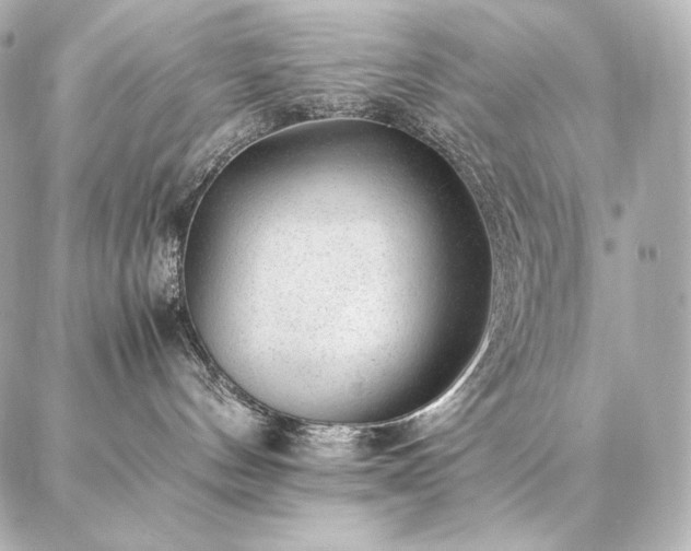 X0000086970144200704231525