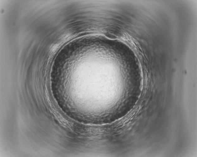 X0000086970145200704231524