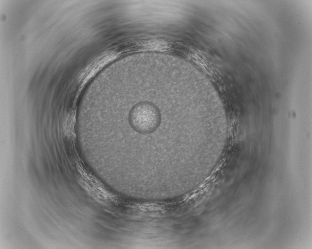 X0000086970146200704231524