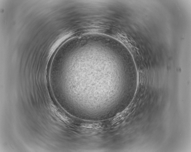 X0000086970147200704231524