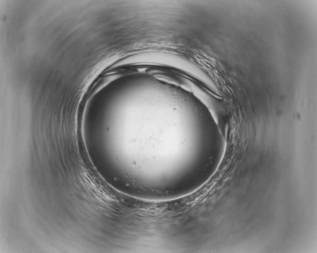 X0000086970148200704231524