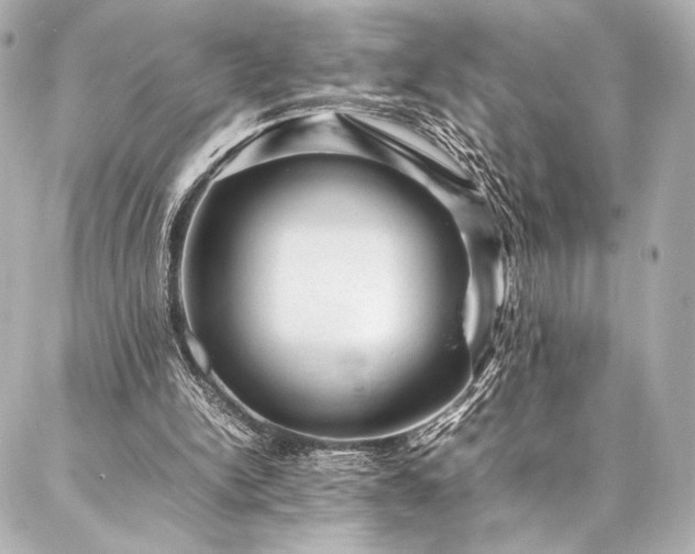 X0000086970150200704231524