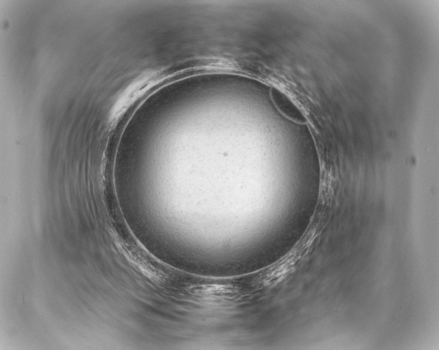 X0000086970151200704231524