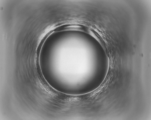 X0000086970152200704231524