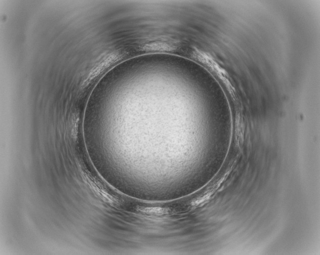 X0000086970153200704231524