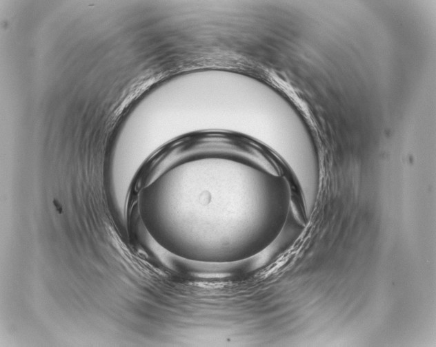 X0000086970154200704231524