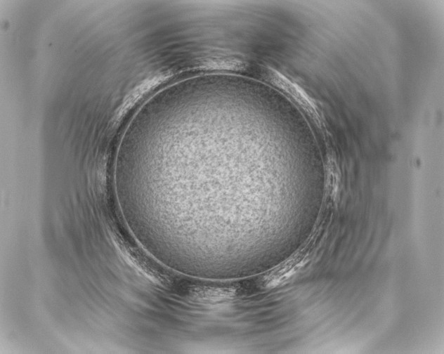 X0000086970155200704231524