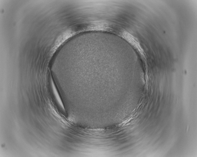 X0000086970156200704231524