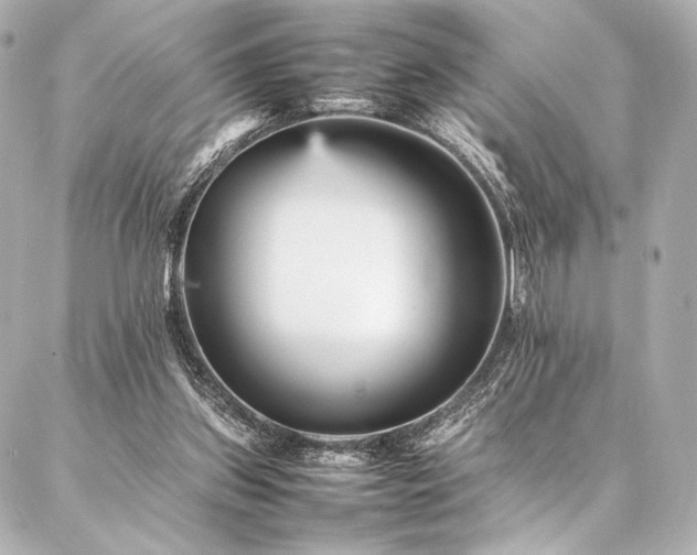 X0000086970157200704231524