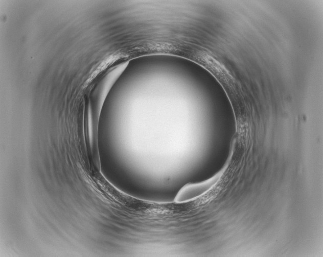 X0000086970158200704231524